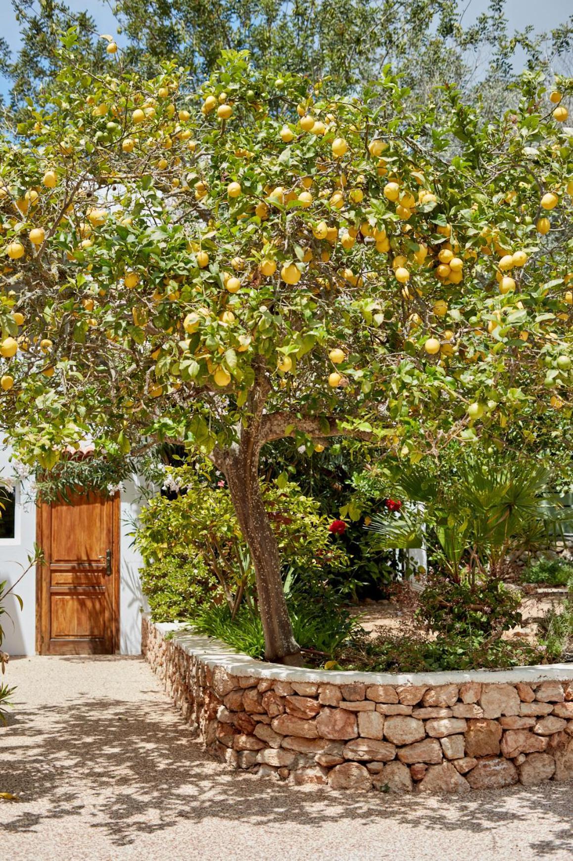 Valley Club Ibiza - Boutique Agroturismo Sant Joan De Labritja Dış mekan fotoğraf