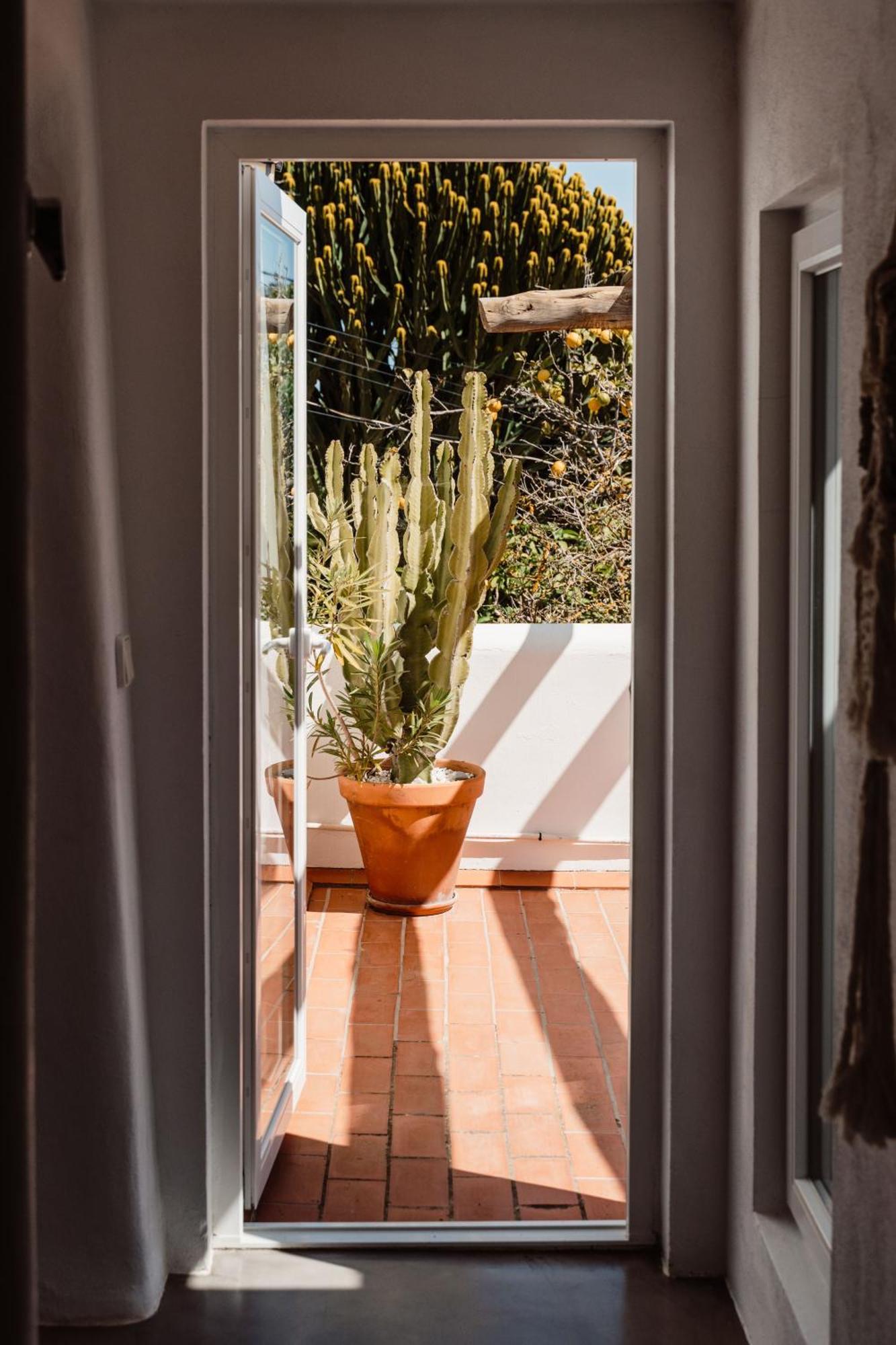 Valley Club Ibiza - Boutique Agroturismo Sant Joan De Labritja Oda fotoğraf