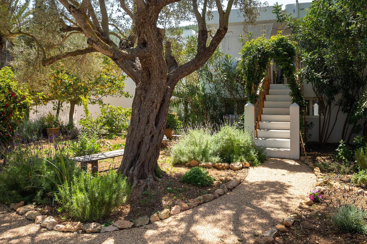 Valley Club Ibiza - Boutique Agroturismo Sant Joan De Labritja Dış mekan fotoğraf
